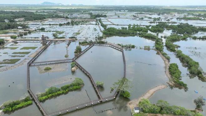 拟器海南·文昌市概况PG麻将胡了免费模(图15)